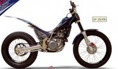 2009 Scorpa SY-250FR 15THA photo